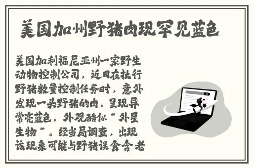 九一玩命加载中